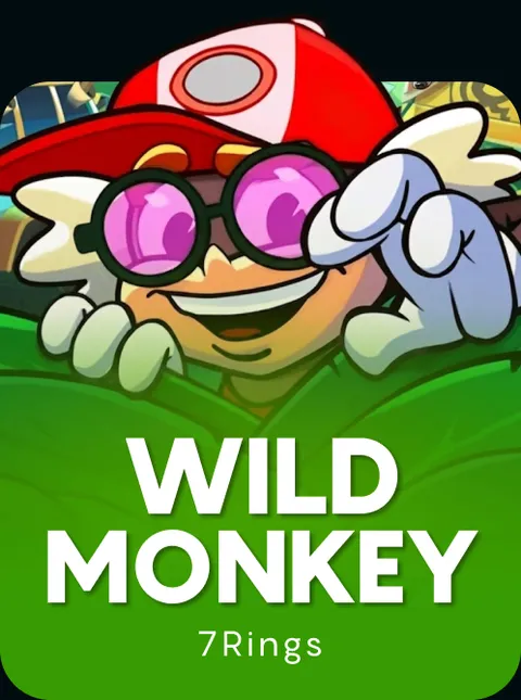 Wild Monkey