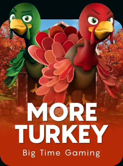 More Turkey