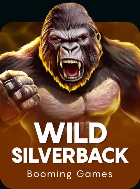 Wild Silverback
