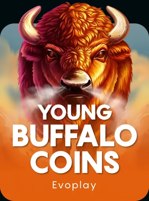 Young Buffalo Coins