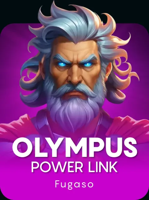 Olympus Power Link