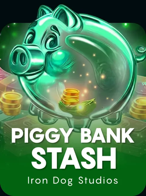 Piggy Bank Stash