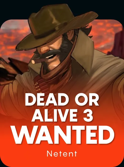 Dead or Alive 3: Wanted