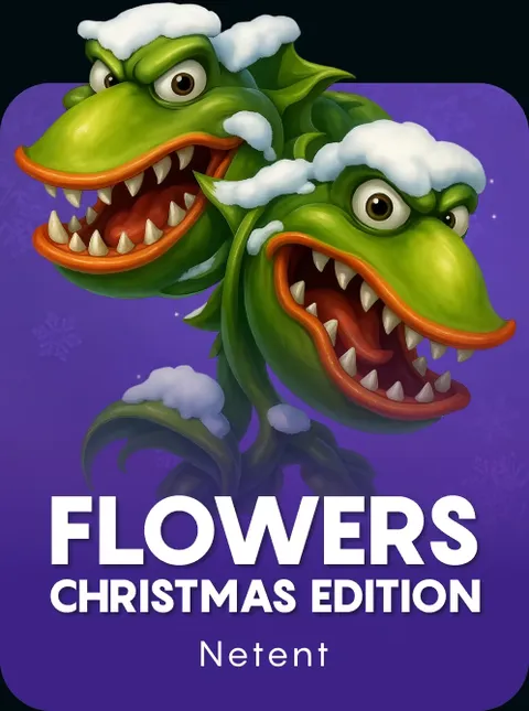 Flowers Christmas Edition