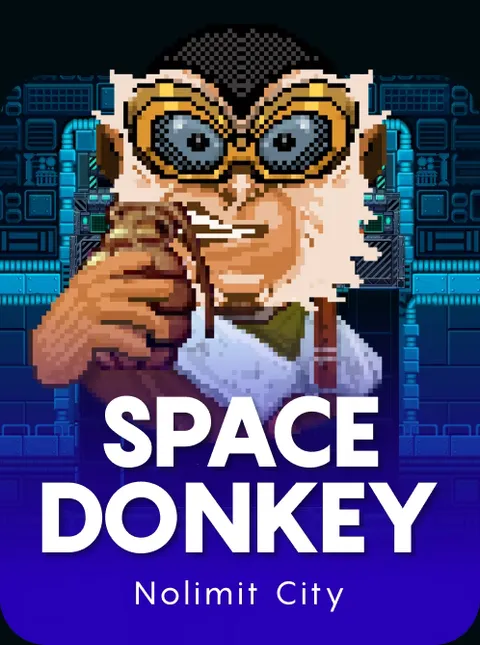 Space Donkey