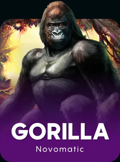 Gorilla