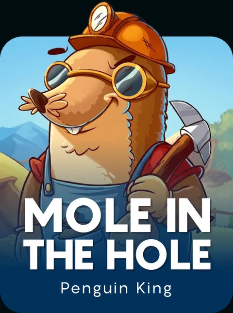 Mole In The Hole