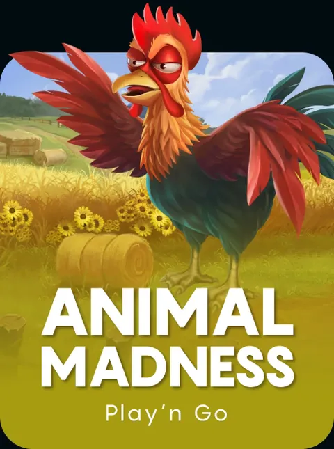 Animal Madness