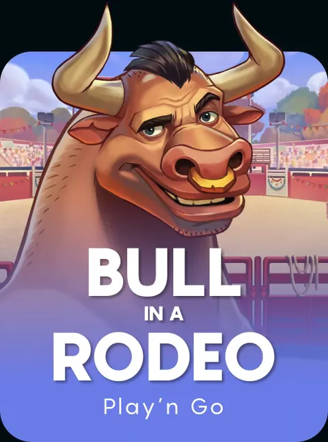 Bull in a Rodeo
