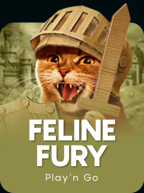 Feline Fury