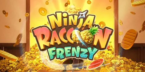 Ninja Raccoon Frenzy