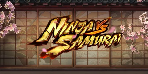 Ninja vs Samurai