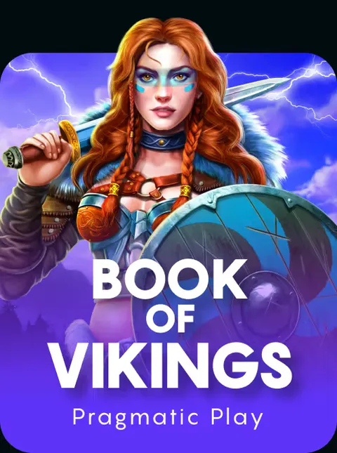 Book of Vikings