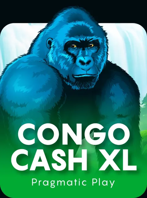 Congo Cash XL