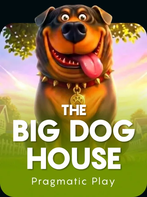 The Big Dog House