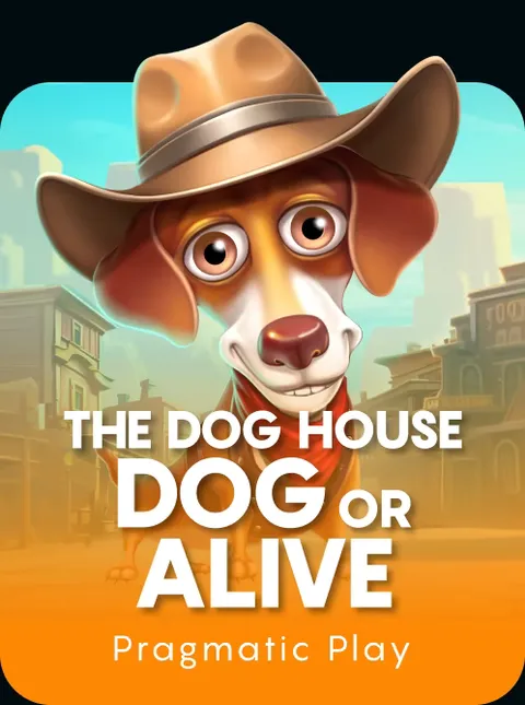 The Dog House – Dog or Alive