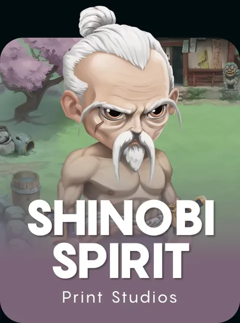 Shinobi Spirit