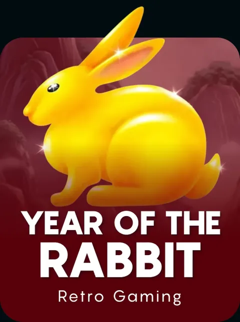 Year Of The Rabbit