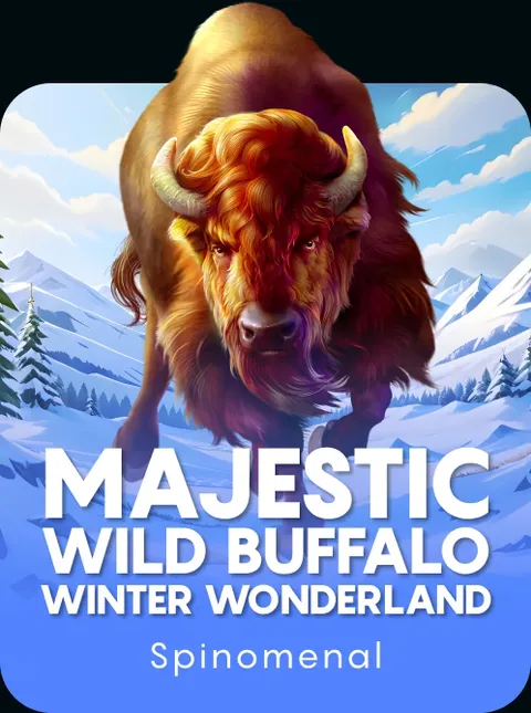 Majestic Wild Buffalo - Winter Wonderland