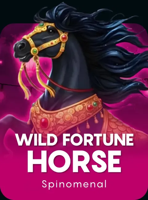 Wild Fortune Horse