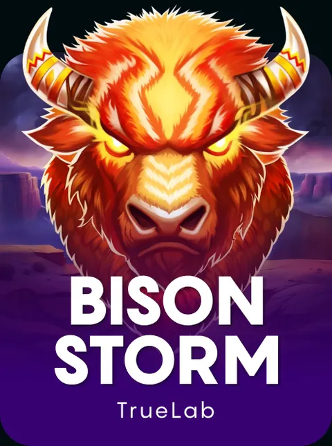 Bison Storm